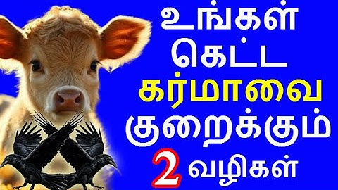 உங்கள் கெட்ட கர்மாவை குறைக்கும் வழிகள் | bad karma  |#nammabhoominammasamy