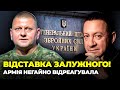 ⚡ЦЕ ВАРТО ПОЧУТИ! в медіа ВКИНУЛИ НОВІ факти, “конфлікт” з Залужним виглядає як помста | МУЖДАБАЄВ