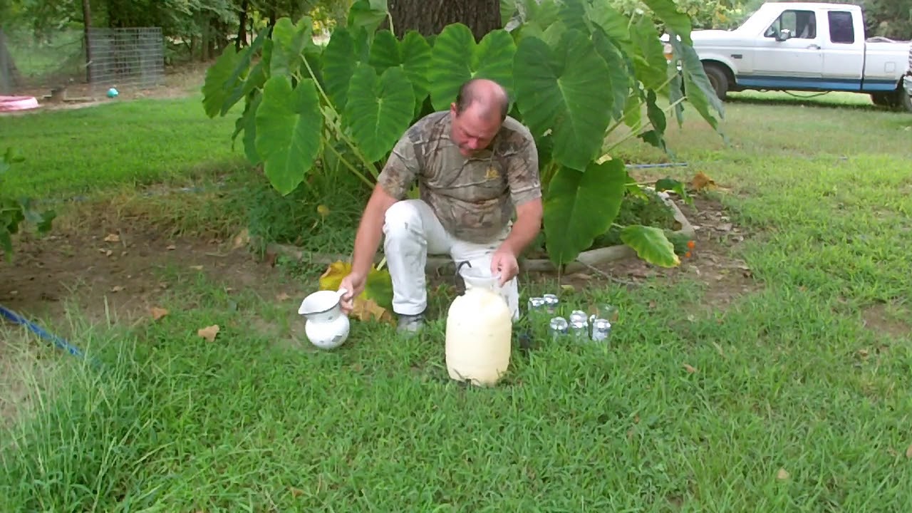 backyard treatment for mosquitoes