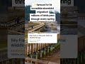 🐦bird watching has been my new obsession! #birder #birding #BirdaApp #birda #1m8oj