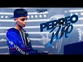 PERREO DURO / Reggaeton 2021| DJ Roman #YATUSABECABRON