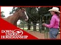 Clinton Anderson: More Horse Than Handle, Part 1 - Downunder Horsemanship