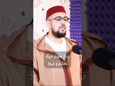 ألم تر كيف ضرب الله مثلا كلمة طيبة كشجرة طيبة عبد الإله الصالح اكسبلور قرآن