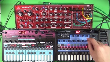 Liven Bass & Beats Prototype, XFM, Behringer Neutron - Unfriendly Electro - Song-a-day 2022