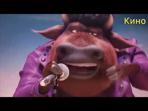 кумыкский зверопой🤣🤣🤣