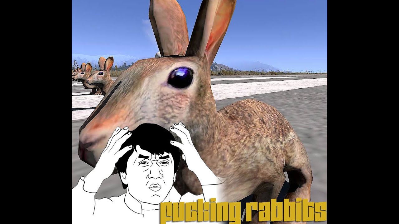 ArmA 3: FUCKING RABBITS!(DUWS) - YouTube