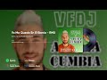 YO ME QUEDO EN EL BARRIO (REMIX) - VFDJ &amp; A PURA CUMBIA