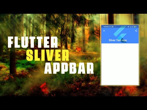 Sliver app bar Flutter example | Flutter Collapsing Animated App Bar