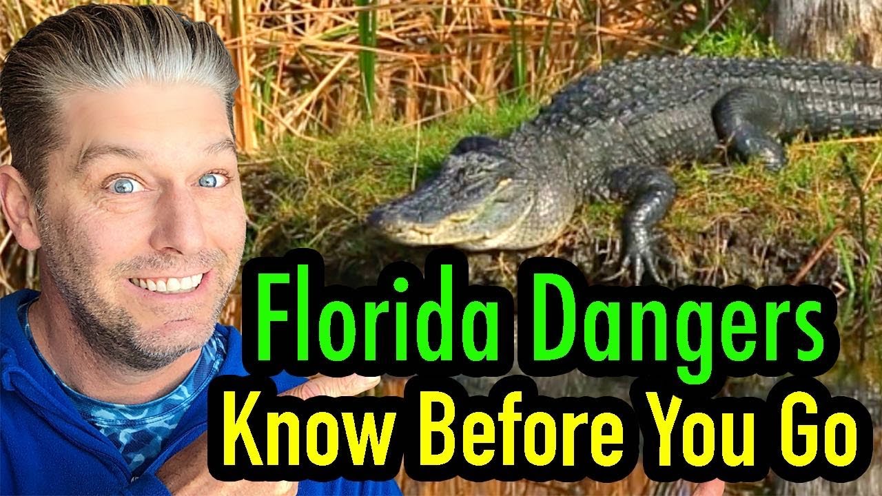 Things to Know Before You Go to Florida Florida Dangers YouTube