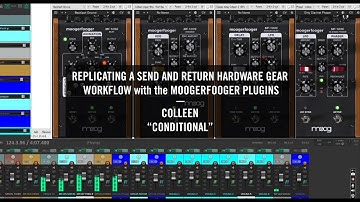 Moogerfooger Effects Plug-ins Tutorial | Creating "Conditional" by Colleen