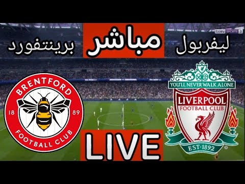 بث مباشر مباراة ليفربول وبرينتفورد اليوم في الدوري الانجليزي بث مباشر مباراة ليفربول اليوم