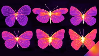 Thermal Imaging Reveals Butterflies in a Whole New Light