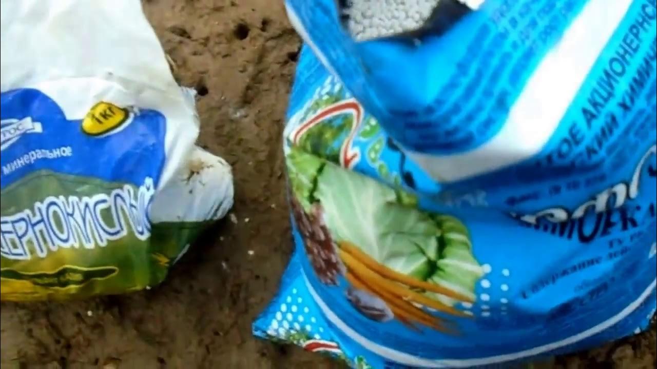 ПОДКОРМКА СМОРОДИНЫ ВЕСНОЙ - YouTube