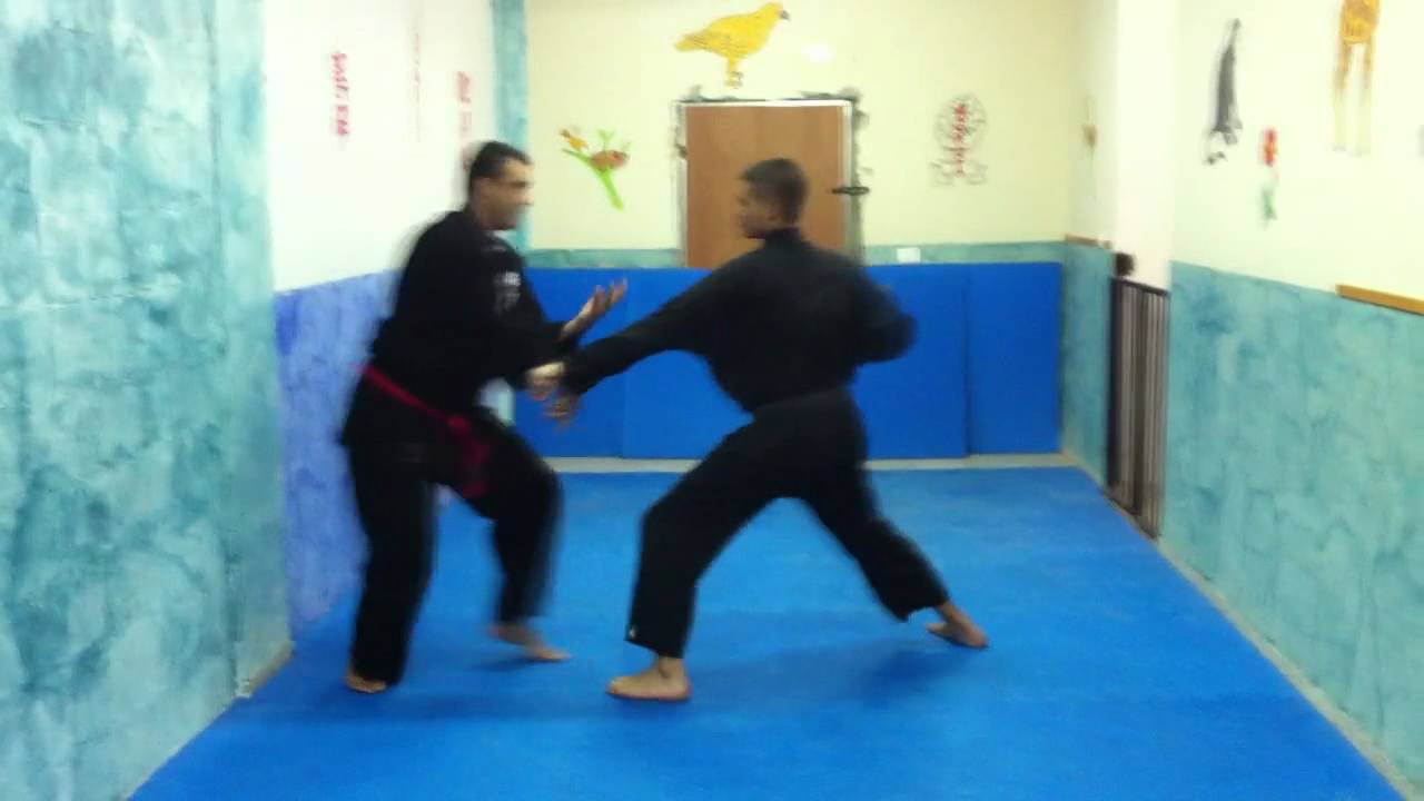 EMPI HA KATA - BUNKAI BY KYOSHI ARKIA ROBEEN