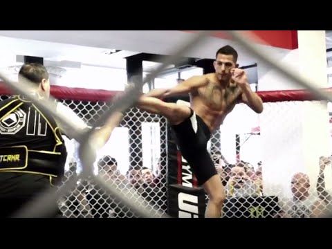 Fight Night Boston: Open Workout Highlights