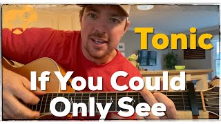 If You Could Only See | Tonic | Beginner Guitar Lesson