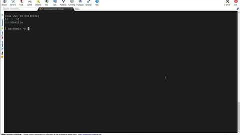 Getting NetWorker Client Details