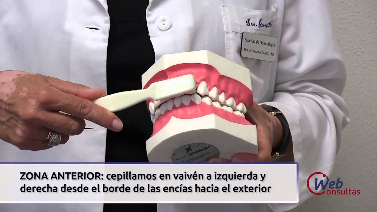 Como Cepillarse Los Dientes Dra Rosario Garcillan Youtube