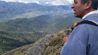 Bajando las vacas del Cerro Bravo.