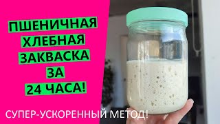 BREAD STARTER IN 24 HOURS! ⌛ [[SUPER-ACCELERATED METHOD]