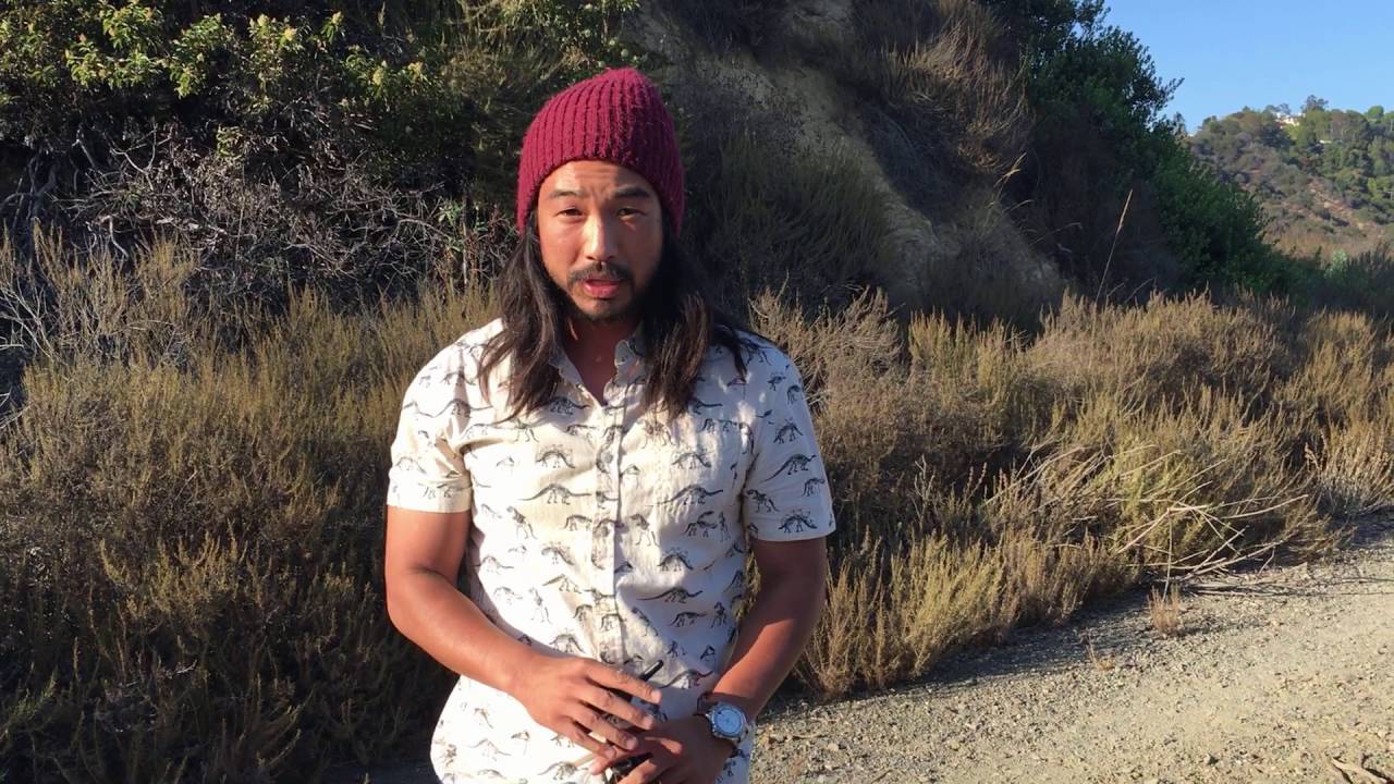 e Collar Training Command Come YouTube