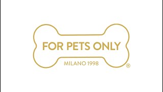 Video: You Are My Sunshine Pull