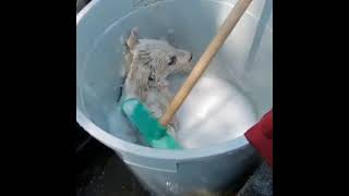 Yaşamak Bu Deği̇l Resimi