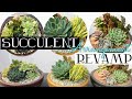 Succulent Arrangement Revamp! March 2020