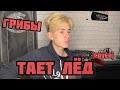 Грибы — Тает лёд (cover)