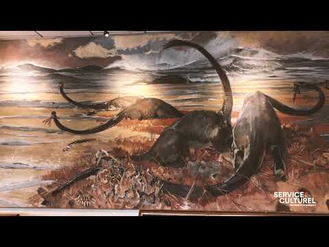 Les toiles de Mathurin Méheut et Yvonne Jean-Haffen