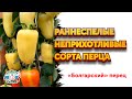 НЕПРИХОТЛИВЫЕ СОРТА БОЛГАРСКОГО ПЕРЦА - Скороспелые сорта сладкого перца с высокой урожайностью