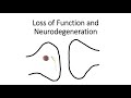 Loss of Function and Neurodegeneration