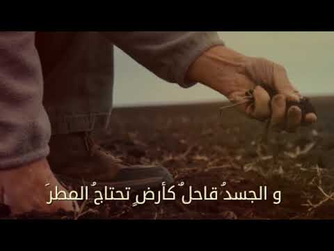 عيد العمال جنان وكيل