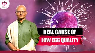 Low AMH &amp; Poor Egg Quality Explained | Natural Fertility Solution India | Kumbhak Therapy