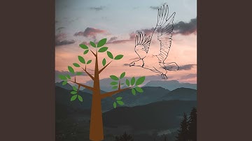 Calm Backdrops for Rejuvenating Keynotes