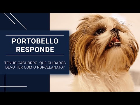 Portobello Responde: tenho cachorro, que cuidados eu devo ter com meu porcelanato?