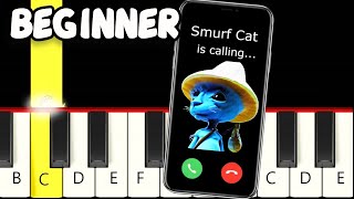 Smurf Cat is Calling you - Fast and Slow (Easy) Piano Tutorial - Beginner