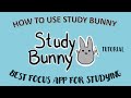 How to use study bunny app tutorial english  study bunny focus timer  free study app for students