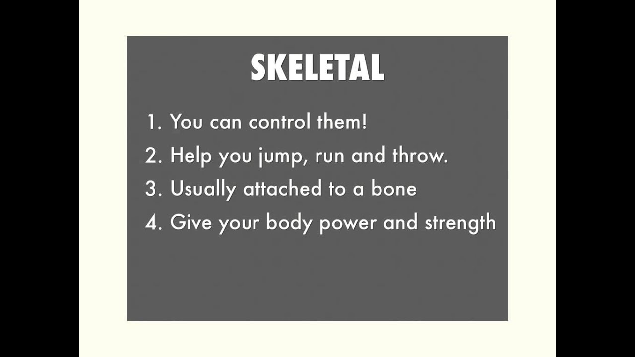 Three Types of Muscles - YouTube