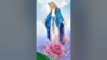 Lạy Mẹ Maria Mẹ Thiên Chúa Mẹ Đồng trinh, đoàn con chung tiếng hát..Dâng Mẹ...Nhạc Thánh Ca #shorts