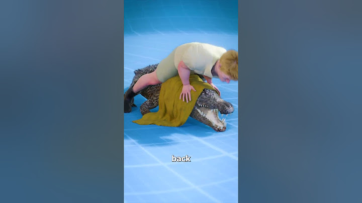 How To Wrestle An Alligator 😨