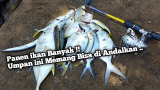 Bisa Di Andalkan ‼️ Umpan Ini Memang Terbukti Joss | Mancing Pinggiran Laut screenshot 5