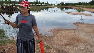 GAK NYANGKA DI PINGGIRAN JALAN BANYAK IKAN NYA/Tetep harus waspada di pingiran sungai Buaya mas Brow