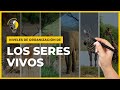 🌎 10 Niveles de ORGANIZACION de los SERES VIVOS