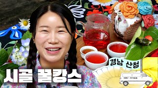 시골로 떠나는 추억 가득 1박2일 | 전국을 달린다-창원 (KBS 2025.07.02. 수 방송)