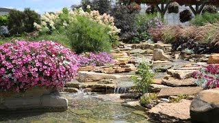 Four Star Greenhouse Display Garden Tour // Garden Answer