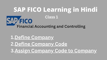 SAP Fico Class 1 in Hindi | Define Company Define Company Code | Assign company cod to company