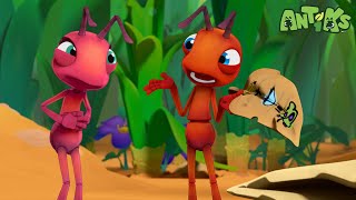 Ant Farm | Antiks  | Funny Cartoons for Kids