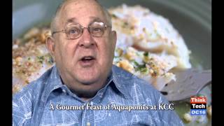 Watch ThinkTech Hawaii on OC16 Thursday 4/3 at 3:30pm
