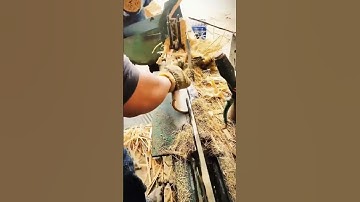 "From Bamboo to Masterpiece: How High-Tech Tools Transform Chopstick Making Efficiency!"